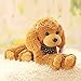 LNNXY Mignon Caniche Chien en Peluche Peluche Chien poupée poupée Fille Enfant Cadeau d'anniversaire 40cm Marron