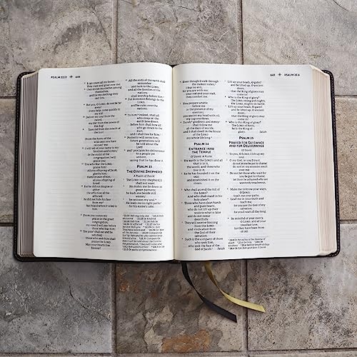 nrsvue holy bible with apocrypha journal edition leathersoft black comfort print