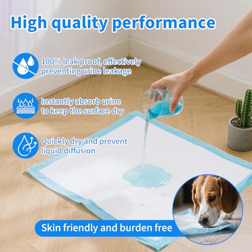 Foydream 100 Stück Trainingspads für Hunde, 60X60 cm PIPI Matten für Welpen, Unterlagen Baby mit 6 Schichten Leckage Design, Die Oberflächen Schnell Trocknen Können und Haustiere Trainieren