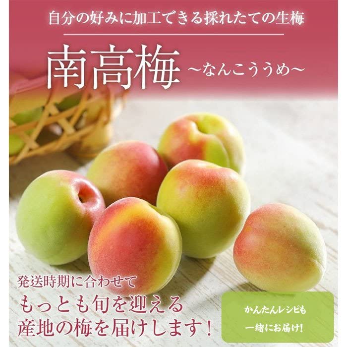 Amazon.co.jp: 梅 南高梅 産地厳選 秀品 Lサイズ 約10kg 梅酒用レシピ