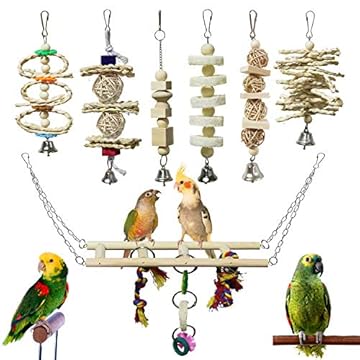 bird toy bundles for new birds that will surprise your feathered friend 1 bird toy bundles for new birds