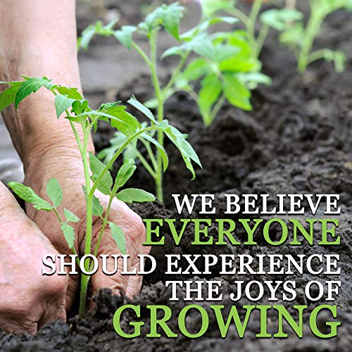 Broad Windsor Fava Bean Seeds - 5 Lb ~1,400 Seeds - Non-Gmo, Heirloom - Vegetable Garden Seeds - Vicia Faba #TOP3