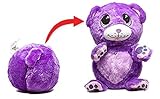As Seen on TV Ball Pets (Purple Bear)