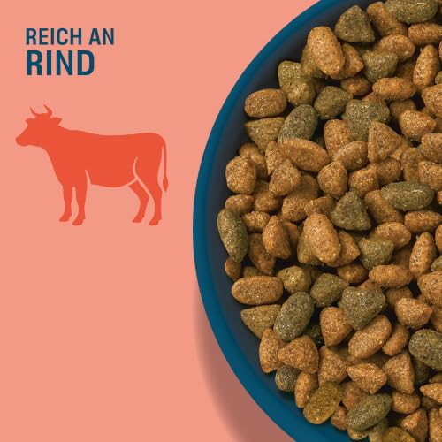 PERFECT FIT Adult Trockenfutter für erwachsene, aktive Katzen ab 1 Jahr - Rind, 750g (6 Beutel)