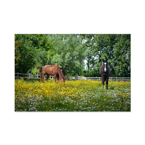 Toile chevaux paysage verdoyant impression grand format déco murale bureau 70x105