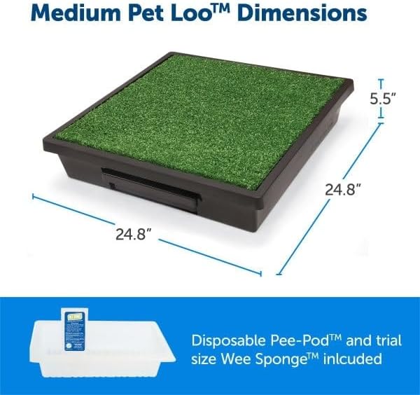 https://m.media-amazon.com/images/I/5158VFD-SmL._AC_.jpg