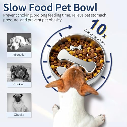 Antischlingnapf Hunde, 22cm Anti Schling Napf Hund 304 Edelstahl Hundenapf Slow Feeder Schlingnapf Hunde Hundenapf Anti Schling Antischlingnapf Katze für Katzen