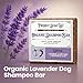 Project Sudz Gentle All Natural Dog Shampoo for Dry Coat for Sensitive Skin | Bar Shampoo for Dogs | Organic Dog Shampoo Sensitive Skin | Lavender (1)