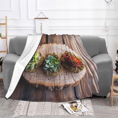 Couverture microfibre douce pour vos soirées cocooning sur le canapé - 3
