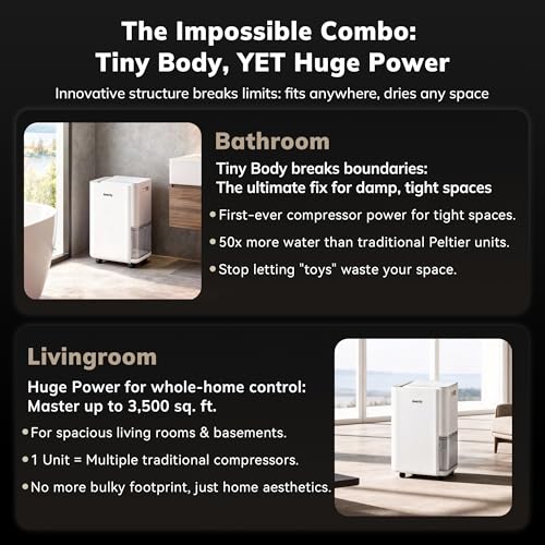 Commercial Dehumidifier with Pump