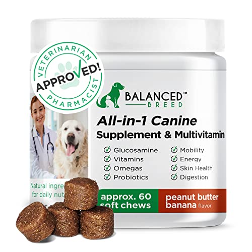 Best dog food for red heeler Gegu Pet