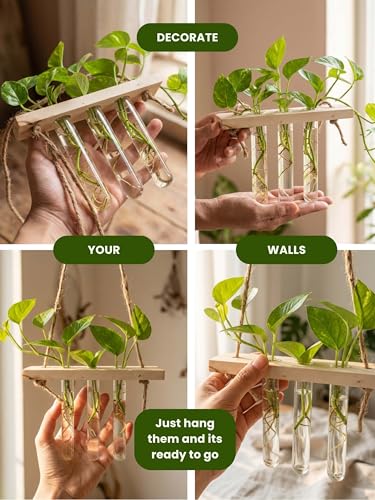 Image of Bombay Greens ; Sow, grow, eat, repeat Hanging Planter with Wooden Holder & Rope | 3 Test Tube Hanging Plant Indoor Stand | Wooden Planter for Home Decor, Living Room, Balcony & Office Decoration