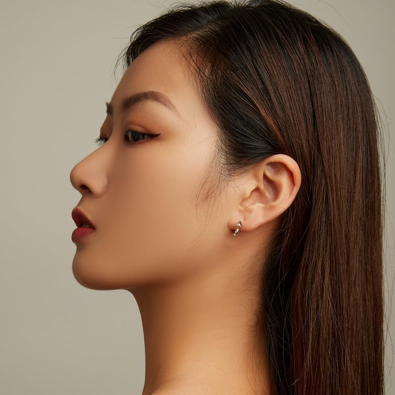 S925 Sterling Silver Hoop Hypoallergenic Earrings for Women Dachshund Cat Butterfly Iris Star Leaves Shell Pearl & Cross Design Earrings as Gifts for women - Image 5