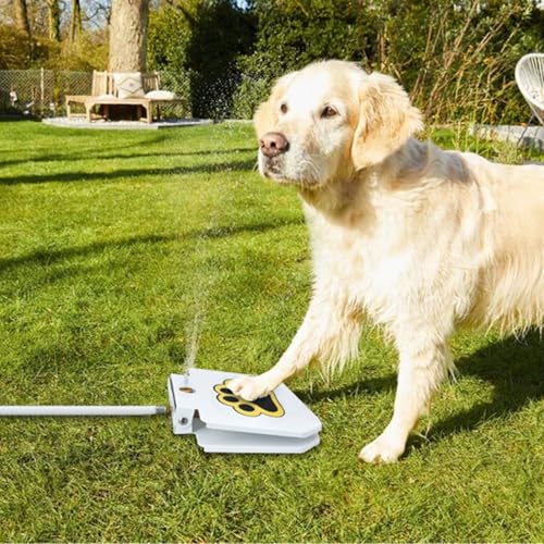Fontaine à eau pour chien extérieure blanche distributeur d'eau fraîche - 4