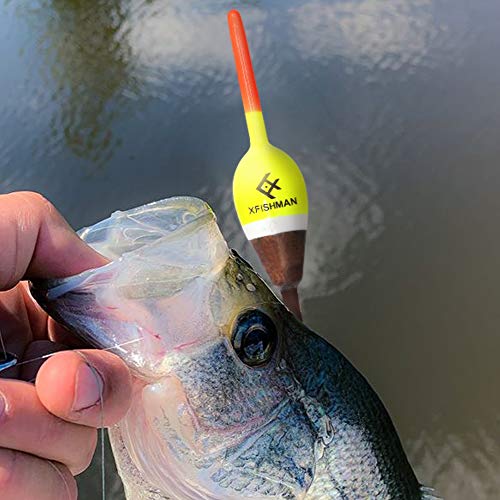 XFISHMAN Balsa Fishing Floaters Spring Bobbers Fishing Kit Tackle Floats Assortment for Crappie Panfish Walleyes (7/8" Oval 5 Pack) - Thumbnail 5
