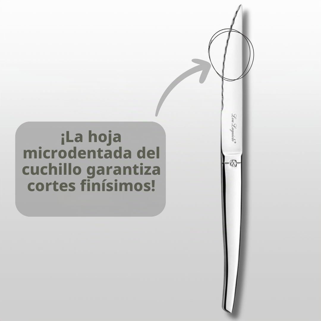 Lou Laguiole Chorro Cubiertos de Mesa/Estuche para 6 Personas, Inoxidable, Acero Espejo, 24 couverts de Table