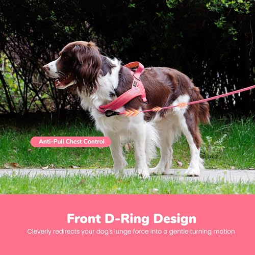 Image of Didog No Pull Dog Harness for Medium Dogs, Breathable Mesh Padded, Pink, M | Quick Fit, Easy On and Off, Lightweight, Reflective Vest Harness for Night Safty, Easy for Walking and Training, Chest 21-26 inch