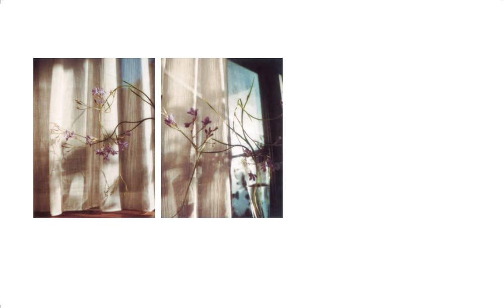 【おまとめ専用】海外古書　洋書　1979年　高山の花 flowers: 9784865411348: Amazon.com: Books