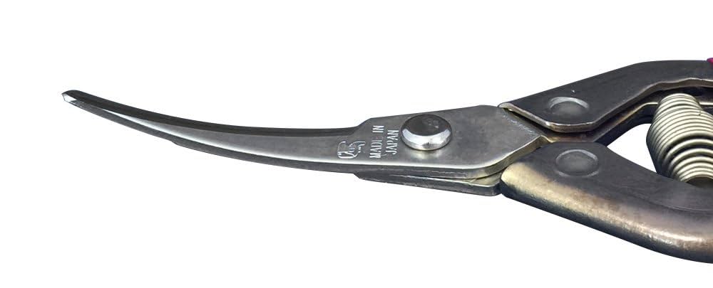 さちさん専用 sachiさん専用 SACHI沙智【公式】 (@47Sachi47) / X