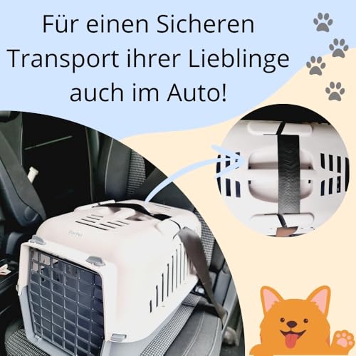 Hundebox Auto Rückbank Transportbox Katze Katzentransportbox Transportbox Kaninchen Katzenkorb Transport Hundetransportbox Grau