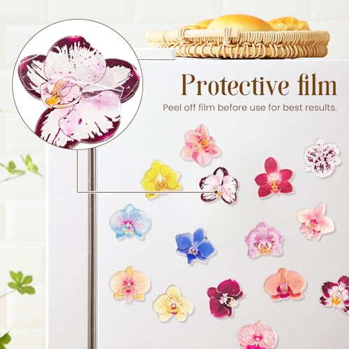 Imanes de Refrigerador de Acrílico Orquídea, 15 Piezas miniatura 4