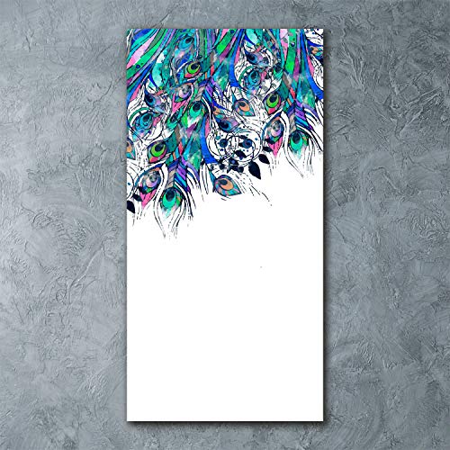 Tableau plumes de paon multicolore Tulup impression sur verre 60x120 cm