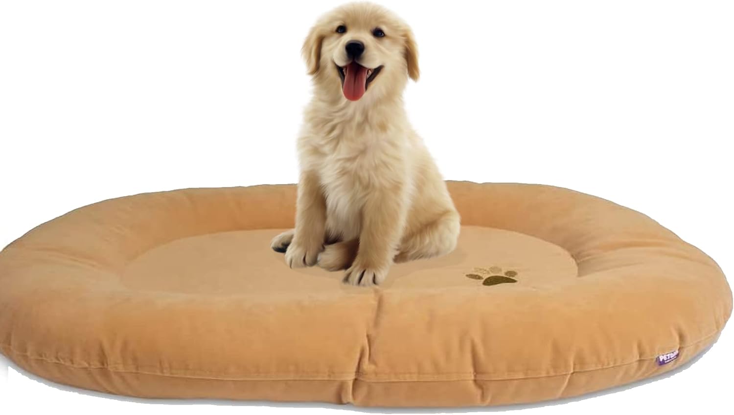 The 11 Best EcoFriendly Dog Beds