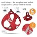 Vest Harness curli Clasp Softshell Red S