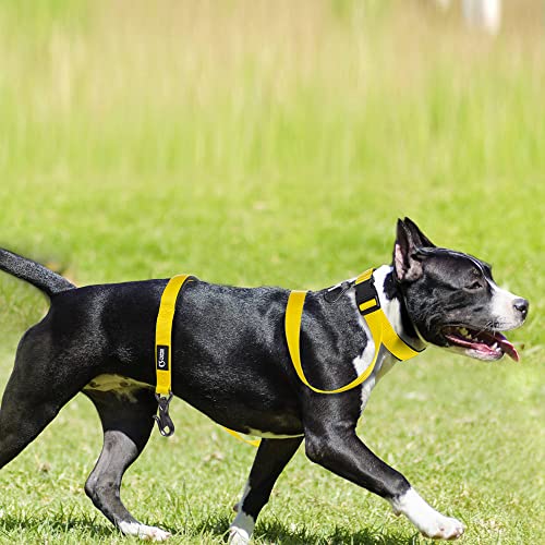 Tspro Hands Free Dog Leash Adjustable Walking Running Dog Leash With Control Safety Padded Handle And Heavy Duty Clasp For Small Medium Large Dogs(Yellow) #TOP4