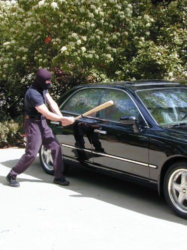 Clear (30" x 15") | DIY Vehicle Glass Protection Film Kit | Car Window Protection Film