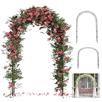 Heavy Duty Trellis for Wisteria - Are These the Top 5 You Need? 1 heavy duty trellis for wisteria