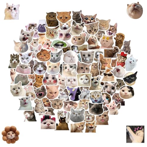 Juego de 100 calcomanías divertidas para gatos, calcomanías de vinilo impermeables para amantes de los gatos, botellas de agua, álbumes de recortes, teléfono (forma de gato)