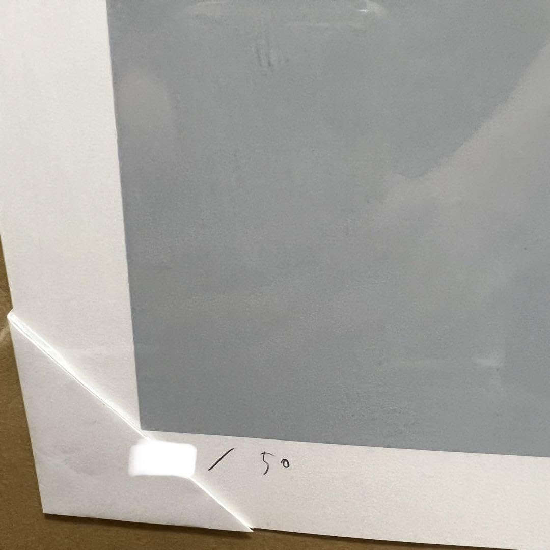 Amazon | 寺田克也 寺田器 シルクスクリーン | アイドル・芸能人グッズ