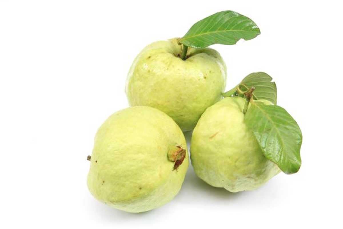 FRESHTOHOMEGuava | Approx 400g+ (Thailand)