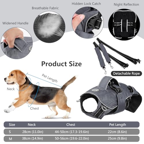 PETCUTE 5-in-1 Pet Carrier Rugzak voor katten en kleine honden, ademende hondendrager rugzak met breder handvat, multifunctioneel, verstelbare handsfree reisrugzak voor kleine middelgrote honden - Afbeelding 4