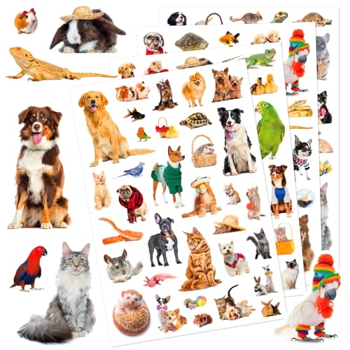 Pet Animals Stickers 660 Count Dog Cat Animal Pet Rabbit Parrot Fish Bird Reptiles Stickers Party Favors Gifts Sticky Decor for Scrapbook Calendar Planner Gift Wrap Decor