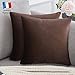 Douceur De Plumes Lot de 2 Housse de Coussin décorative Chocolat Velours 40x40 cm Uni, Taie d'oreiller Brun Clair Carré Doux et Moderne, Décoration Salon Scandinave Canapé Chambre (2 Chocolat)