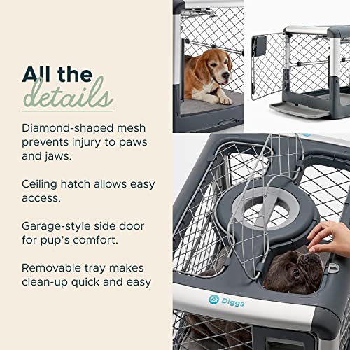 Diggs Revol Collapsible Kennel for Small Dogs, Puppies (Grey) - Image 3