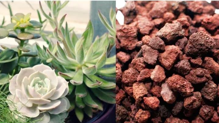 Consejos y comparativas para Comprar Piedra roja para jardin - los más vendidos. 4 Consejos y comparativas para Comprar Piedra roja para jardin - los más vendidos. 3