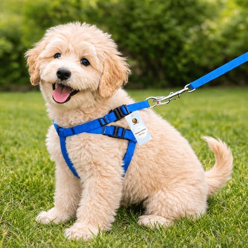 Foodie Puppies Adjustable Dog Harness & Leash Set - (10mm) for Small Dogs & Cats | Durable Nylon Strap, Strong Metal Hook, Lightweight, Comfortable & 