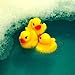 Novelty Place Rubber Duck Ducky Baby Bath Toy for Kids (48 Pcs)