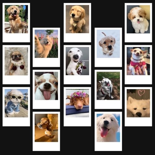 Image of Cute Dog & Puppy Poster Polaroids | Dog Memes Mini Posters Kit (Set of 15) | Dog PFPs Collage Kit Polaroids Sized (8 x 6 cm) Posters for Phone Accessories, Bedroom, Office, Living room (Dog Memes)