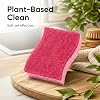 Non-Scratch Cellulose Sponge Kitchen Scrub Sponge with Scouring Pad Set, Good for Non-Stick Cookware Frying Pan, Pot, Counter Top, Sink Scrubbing, Kitchen Scrubbers, Pack of 1, Red/Pink #5