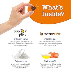 Zesty Paws Dog Allergy Relief  Anti Itch Supplement  Omega 3 Probiotics for Dogs  Digestive Health  Soft Chews for Skin  Seasonal Allergies  with Epicor Pets  Senior  Salmon  90 Count  Cucciolini Doodles Zesty paws dog allergy relief  anti itch supplement  omega 3 probiotics for dogs  digestive health  soft chews for skin  seasonal allergies  with epicor pets  senior  salmon  90 count   cucciolini doodles