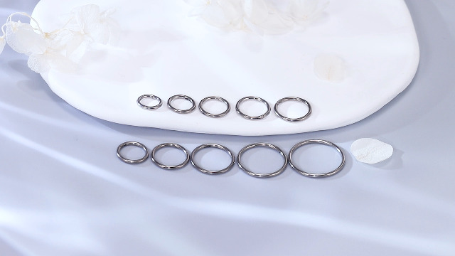 Amazon.com: Xnsjeyy 14G Nose Rings Hoops Astm F136 Titanium Hinged