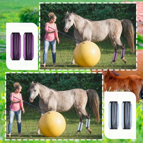 Image of Sanwuta 16pcs Horse Mesh Fly Boots Horse Fly Boots Fitting Non Slip Horse Fly Leggings Breathable Reduce Horsefly Nuisance Stomping and Stress(14 inch X 9 inch,Orange, Sky Blue, Rose, Purple)