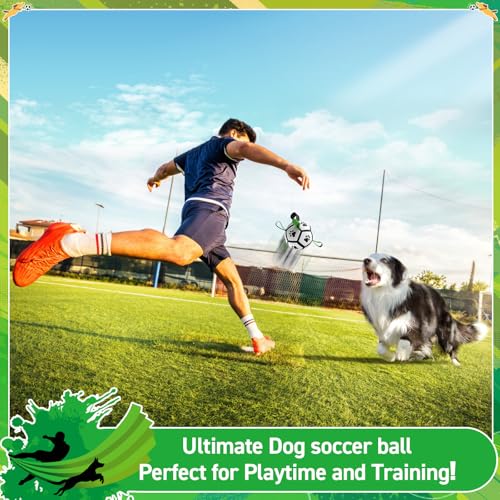 Image of QDAN Dog Toys Balls with Bell Inside, Squeaky Dog Balls for Tug of War, Puppy Birthday Gifts, Dog Water Toys, Ball for Small Dogs(Black Green, 5 inch)