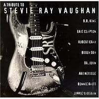 Tribute to Stevie Ray Vaughan