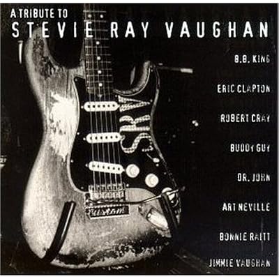 Tribute to Stevie Ray Vaughan