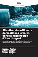 Situation des effluents domestiques urbains dans la microrégion d'Alto Uruguai: Évaluation du devenir des effluents domestiques urbains dans la microrégion de l'Alto Uruguai (French Edition) 6208792207 Book Cover